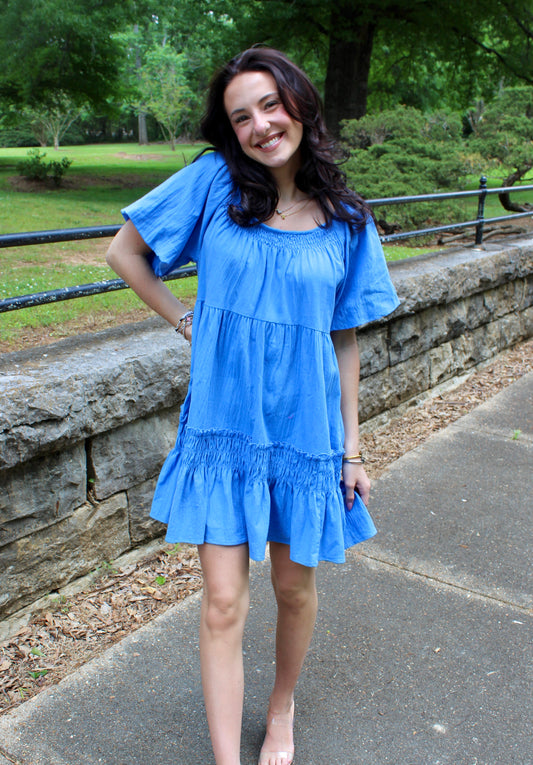 Blueberry Cobbler Dress