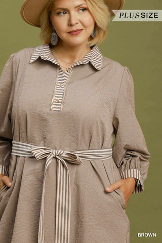 Curvy Stripe Mini Dress- Brown