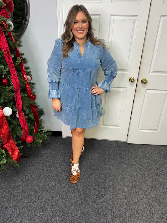 Curvy Katie Dress In Denim